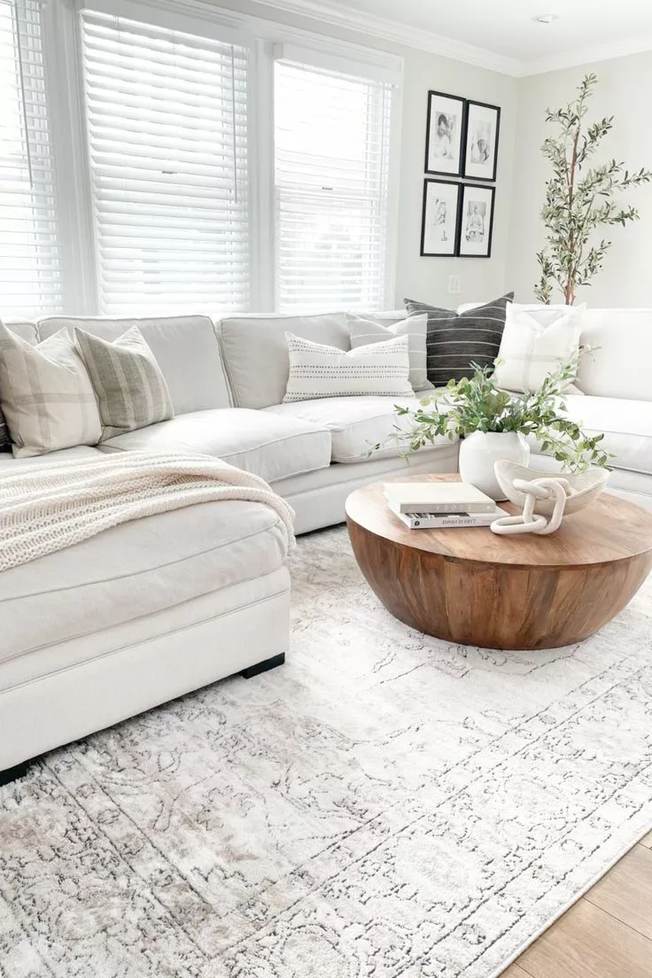 Embrace the simplicity of a modern living room featuring plush comfort, airy brightness, and elegant decor.