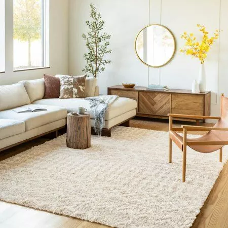 A bright and airy living space featuring natural wood accents, a plush rug, and cozy decor elements that invite relaxation.