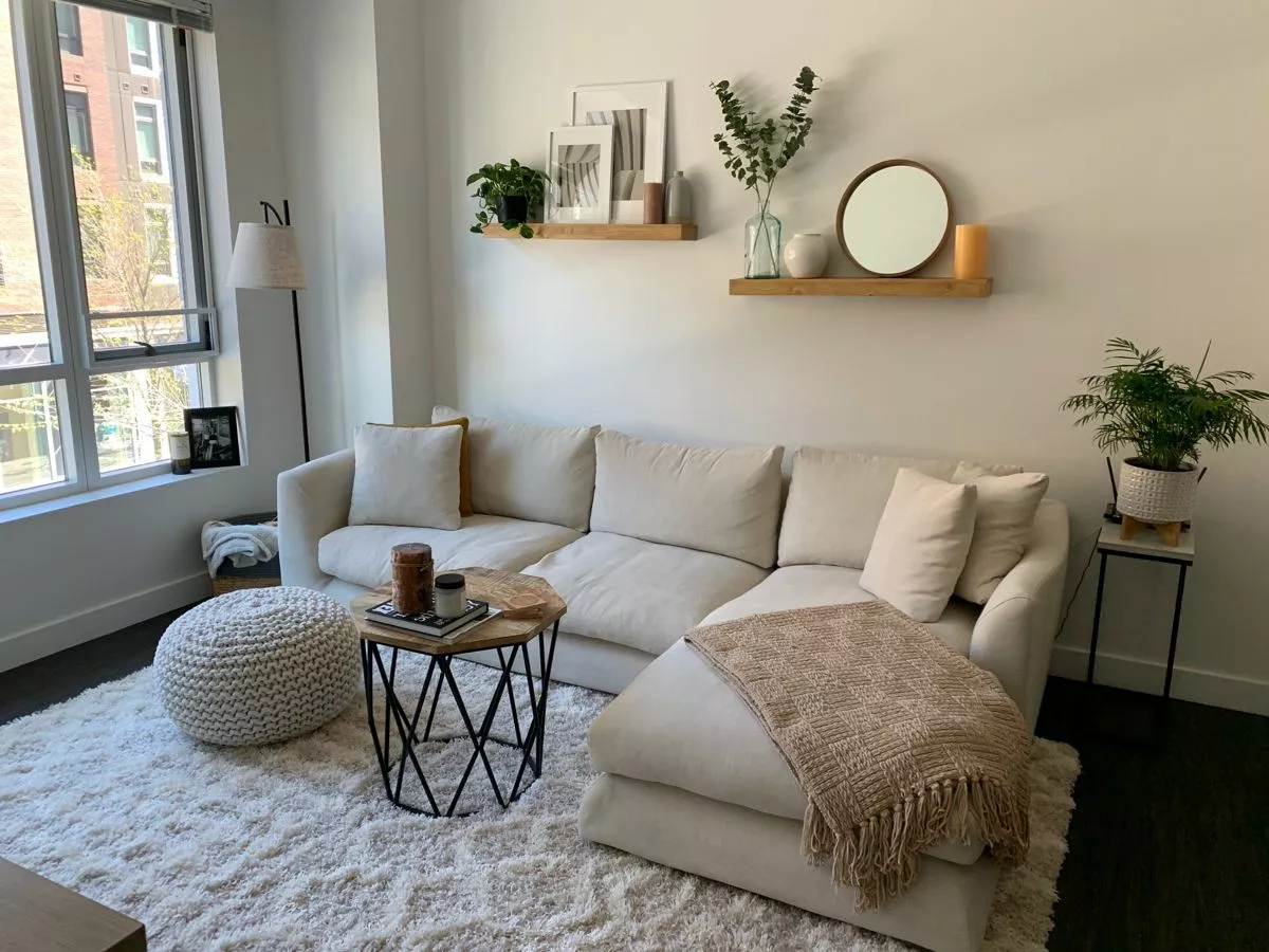 Discover a blend of comfort and modern elegance in this cozy living room featuring minimalist decor and plush furnishings.